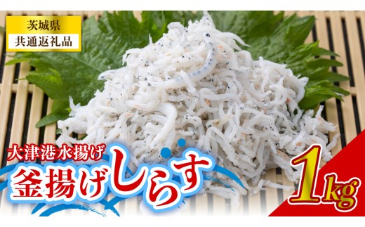 大津港水揚げの釜揚げしらす 1kg (茨城県共通返礼品:北茨城市) 冷凍 釜揚げ ごはん ご飯 丼 海鮮 魚 名物 グルメ 茨城県 魚介類 ちりめん シラス しらす じゃこ サラダ ふるさと納税 人気 料理（BC003）
