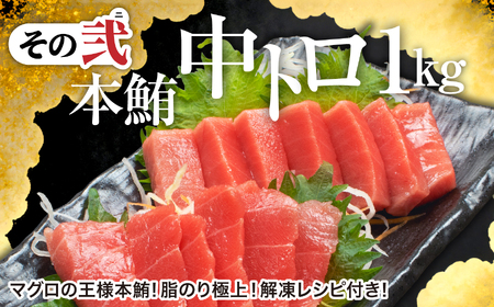 【定期便10回】本まぐろ 3種 極上 定期便 計30kg