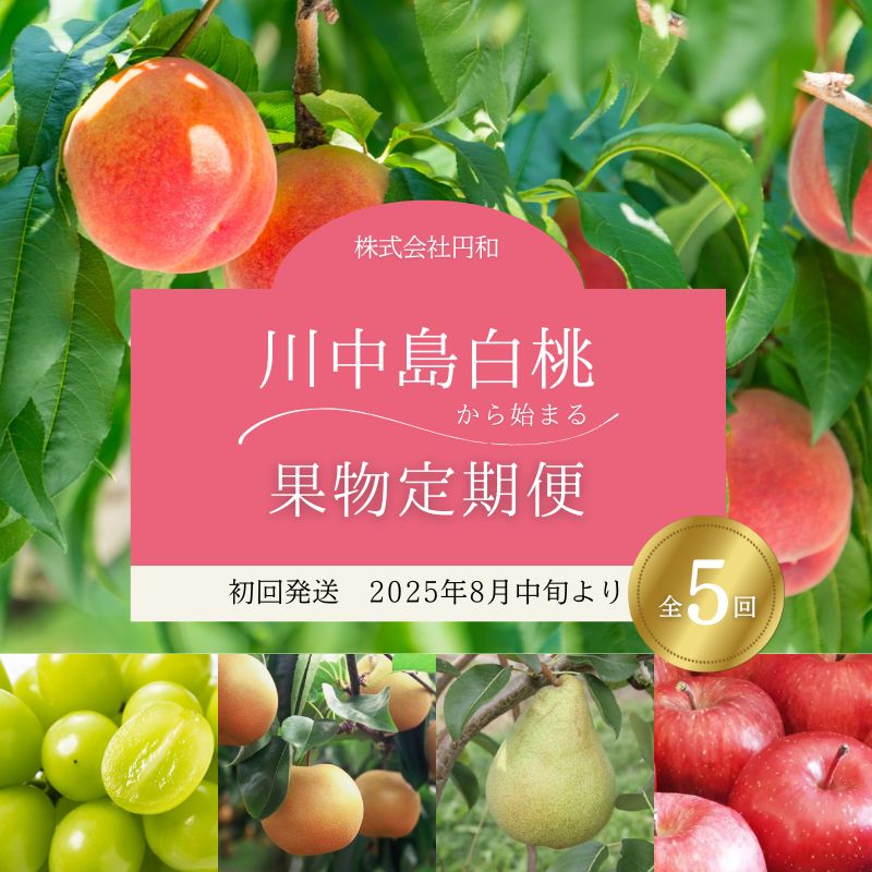 No.2265川中島白桃から始まるフルーツ5品定期便【2025年発送】