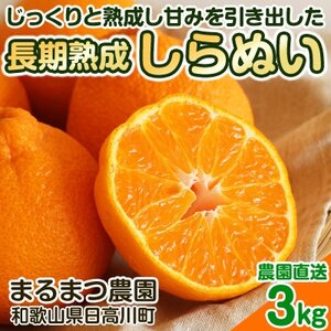 【2026年5月順次発送】濃厚なコクと甘さ 長期熟成しらぬい 3kg 農家直送 和歌山県産【1550279】