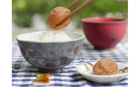 梅干し 紀州南高はちみつ梅干し 1kg 大粒 ご家庭用【inm110B】