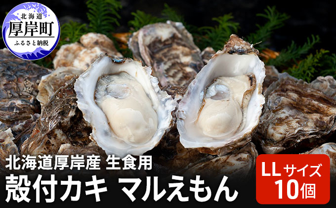 北海道 厚岸産 生食用 殻付カキ LLサイズ 10個 マルえもん 牡蠣 魚貝類 生牡蠣 かき 