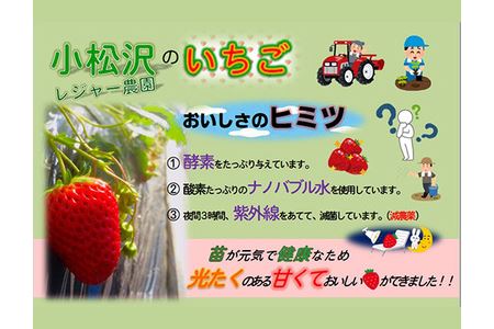 いちご『あまりん』(埼玉限定品種)「日本農業賞」大賞受賞の農園が生産