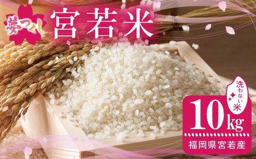 令和7年産 夢つくし 無洗米 10kg [M896-4] ごはん コメ ご飯 精米 白米 ブランド米