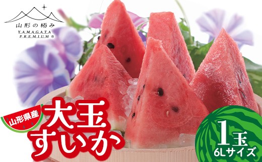 【山形の極み】贈答用 山形県産 大玉 すいか 1玉(11kg) 6L 2026年7月下旬から順次発送 F2Y-6999
