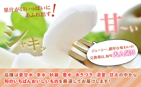 【先行予約】目野果実直売所 荒尾梨 約2-2.5kg(5～10玉前後)  期間限定 熊本県 荒尾市産 なし フルーツ 果物 新鮮 《7月下旬-10月上旬頃出荷》 美味しい梨 旬の梨 ジューシー梨 フル