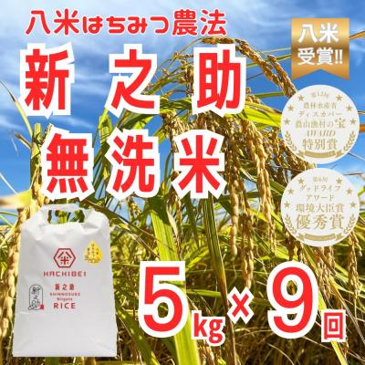 ふるさと納税 阿賀野市 【令和8年産新米先行受付】9ヶ月定期便 八米 はちみつ農法 新之助 無洗米 5kg×9回