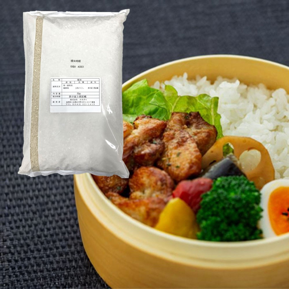 【特A評価獲得！令和7年産】福岡県産 米 元気つくし 10kg セット ( 5kg×2袋 )