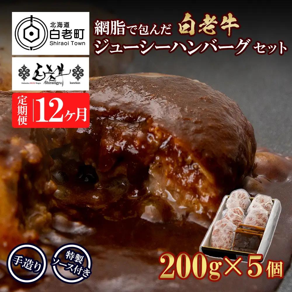 定期便12カ月 お楽しみ 白老牛 ジューシー ハンバーグ セット 5個 BY099
