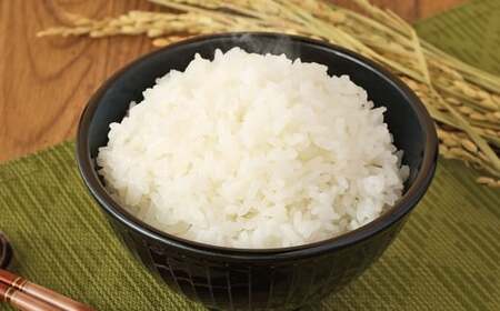 【6ヶ月定期便】無洗米 食味鑑定士厳選 夢つくし 10kg （5kg×2袋） お米 米 白米 食品 ご飯 飯 6ヶ月 定期便 5kg 2袋