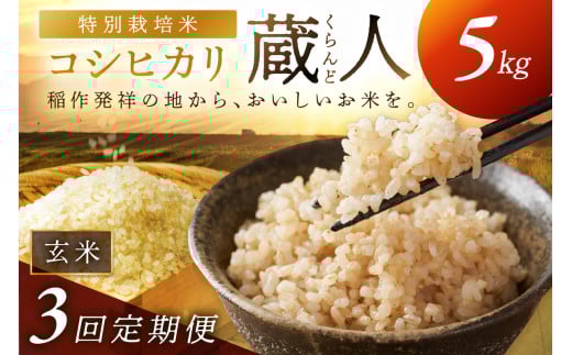 【定期便3回】令和8年産 特別栽培米コシヒカリ 蔵人（くらんど） 玄米5kg　GF00022