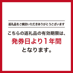 GINZA Global Style オーダースーツ商品券（100000円券） スーツ スーツ スーツ スーツ スーツ