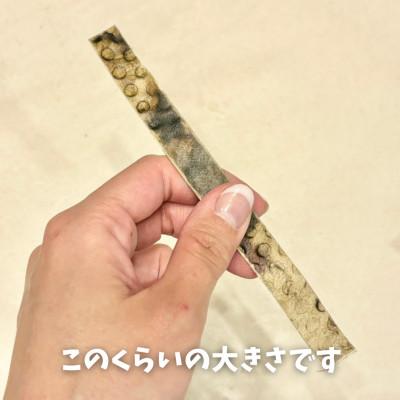 ふるさと納税 南アルプス市 天然鹿の皮ガムと南アルプスの天然鹿肋の贅沢デンタルケアセット中型犬用【皮ガム40g・肋(大)50g】 |  | 02