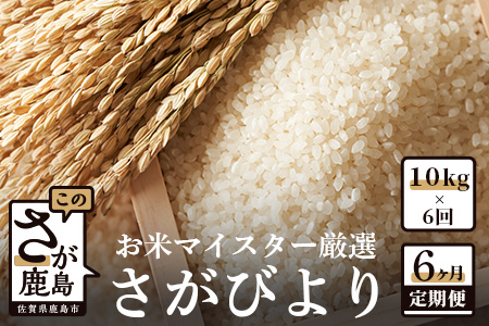 11月発送開始 新米 定期便 6ヶ月 佐賀県産 さがびより 白米 10kg《6ヶ月連続 毎月お届け》J-3 6回 令和7年産