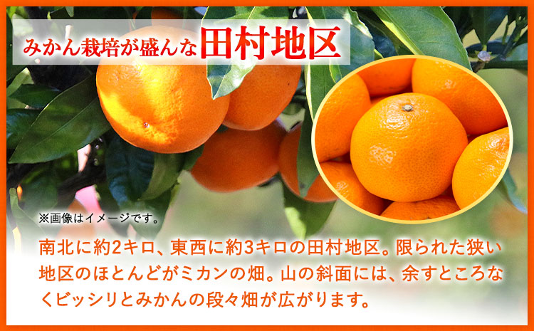 【先行予約】田村みかん 秀品 5kg(サイズおまかせ)とち亀物産 紀伊国屋文左衛門本舗《2024年11月下旬-1月中旬頃出荷予定》和歌山県 日高町 田村みかん 有田みかん みかん 果物 フルーツ ブラ