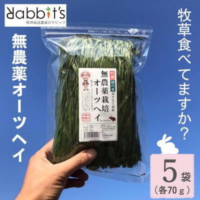 ふるさと納税 須恵町 【 無農薬栽培オーツヘイ 】(うさぎ用 ペットフード) 特選 70g×5袋