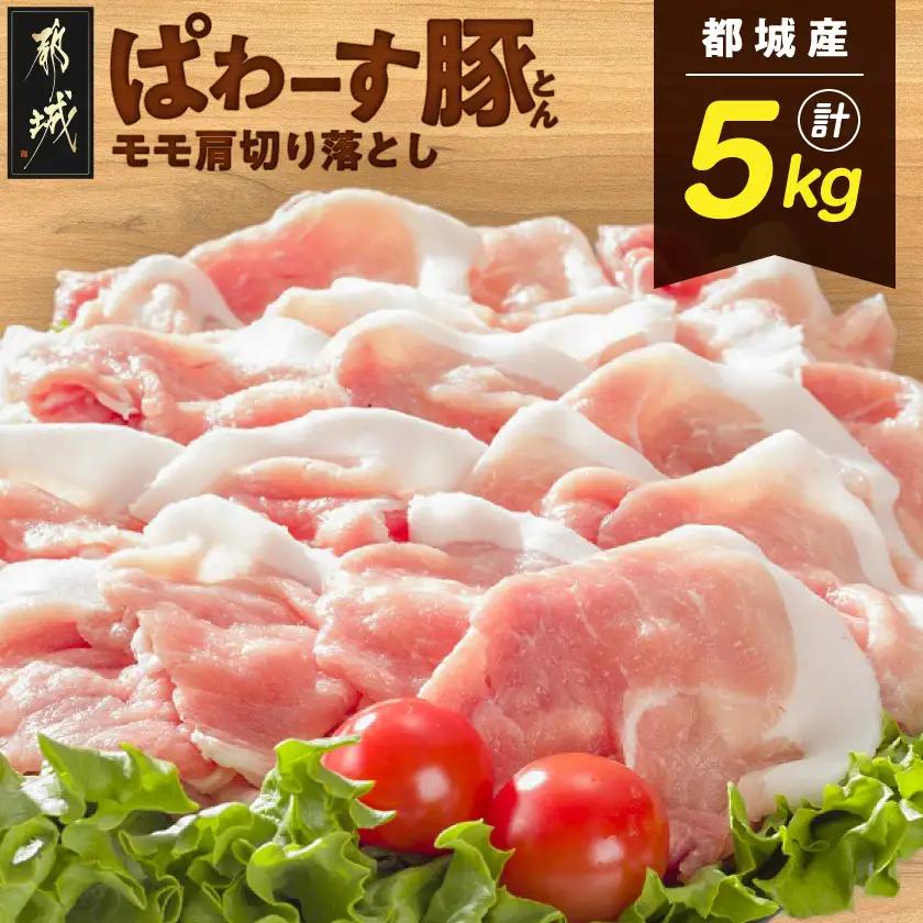 「ぱわーす豚」モモ肩切り落とし5kg_18-6404_(都城市) 都城産豚肉 豚モモ肩切落とし肉 250g 20パック 計5kg ブランドポーク 真空パック 小分け