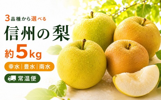 
                  【常温便】信州の梨 約5kg 幸水・豊水・南水から選べる｜ふるさと納税 松本市 幸水 果物 フルーツ 梨 なし ジューシー 果肉 信州産 美味しい 人気 寄附額13000円～
                