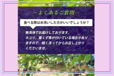 【７月以降順次発送】 冷凍ブルーベリー 1kg ブルーベリー ぶるーべりー フルーツ 果物 果実 産地直送 AS-2246