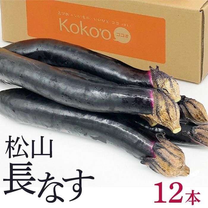 【ふるさと納税】 松山長なす 12本入り | 夏野菜 茄子 わけあり ナス 長なす ワケアリ 長ナス 野菜 国産 国内産 新鮮 常温発送 愛媛県 松山市