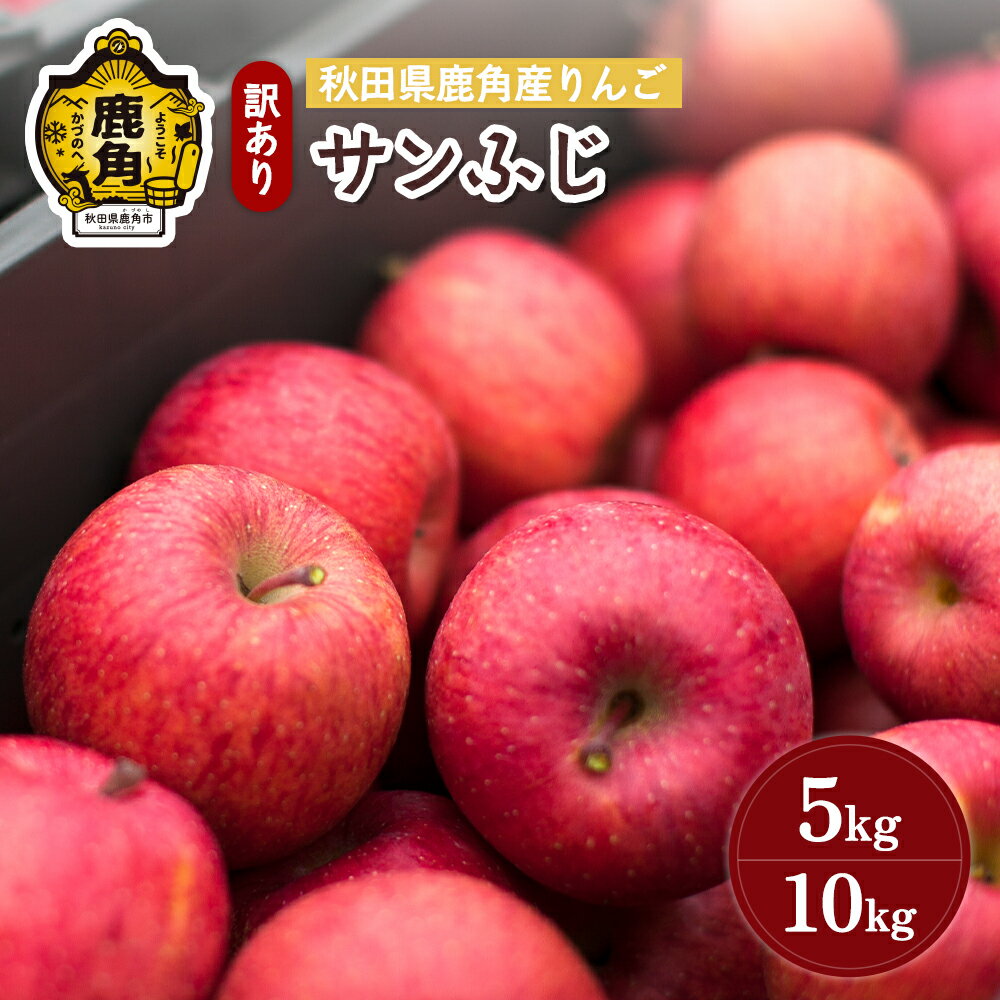 【ふるさと納税】《 先行予約 》 りんご 訳あり サンふじ 5kg / 10kg 鹿角りんご 家庭用 食感 果汁 リンゴ 完熟 旬 県産 りんご お中元 お歳暮 贈り物 グルメ ギフト 故郷 秋田 あきた 鹿角市 鹿角 送料無料 【山麓園】