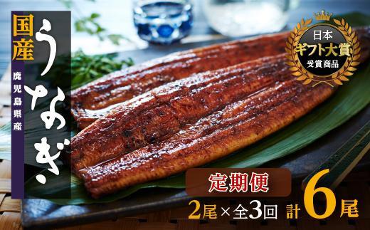 【定期便】国産 鹿児島県産うなぎ長蒲焼2尾（全3回）合計6尾 | 鹿児島県のうなぎは全国1位の生産量 大崎町の位置する大隅半島は特にうなぎ養殖が盛ん。うなぎの町 大崎町より美味しい 鰻 お届けします。ウナギ 蒲焼き 蒲焼 きざみ ひつまぶし 産地直送 直送 高級 厳選 炭火焼き 冷凍 鹿児島県 大崎町