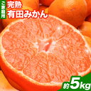 【ふるさと納税】＜先行予約＞家庭用 完熟 有田 みかん 5kg+150g（傷み補償分）【わけあり・訳あり】【光センサー選果】 池田鹿蔵農園@日高町（池田農園株式会社）《11月中旬-1月末頃出荷》和歌山県 日高町【配送不可地域あり】みかん 有田みかん