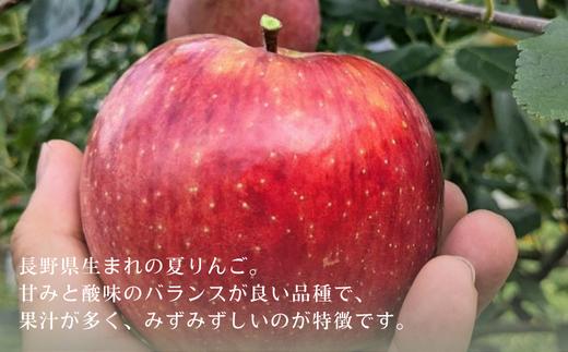 自慢のりんごです！ぜひお試しください！