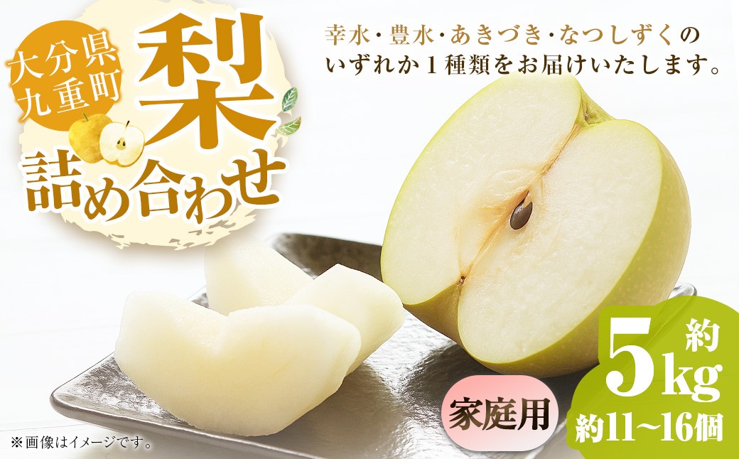 
            【ご家庭用】 九重町産 梨 詰め合わせ 約5kg （約11個～16個） なし ナシ 幸水 こうすい 豊水 ほうすい あきづき なつしずく 果物 くだもの フルーツ 【2025年8月上旬～9月下旬発送予定】
          