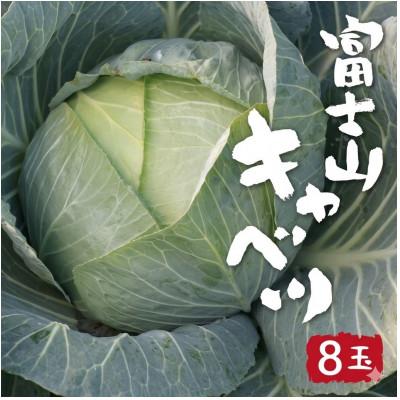 ふるさと納税 大月市 【2026年出荷分先行予約】富士山キャベツ　8玉(9kg)