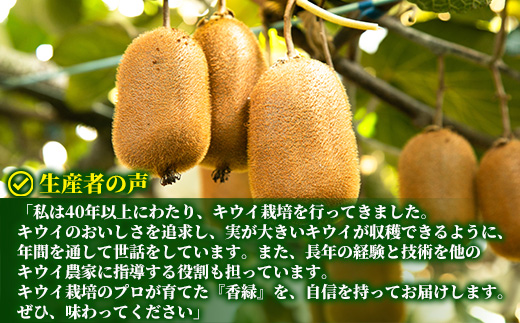 希少キウイフルーツ 「香緑」。4Lサイズ 20個入り 糖度16度。甘くておいしい＜出荷時期：2025年12月15日出荷開始～2026年1月15日出荷終了＞【キウイ　ルーツ 神奈川県 南足柄市 】
