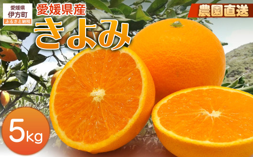【栽培期間中農薬不使用】【先行受付】【数量限定】農園直送！愛媛県産 きよみ 5kg （2027年3月上旬頃より順次発送） 【 ふるさと納税 人気 おすすめ ランキング 柑橘 みかん ミカン 蜜柑 きよみ フルーツ 果物 産地直送 ギフト 贈り物 栽培期間中農薬不使用 木野本農園 愛媛県産 愛媛県 伊方町 送料無料 】 IKTG021