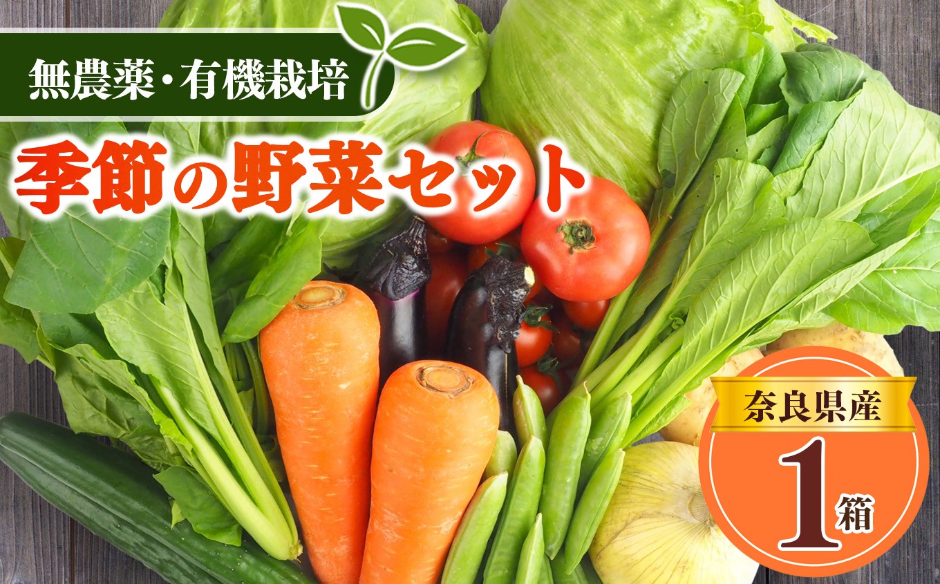 
生命の農法（無化学農薬・無化学肥料栽培）季節の野菜セット
