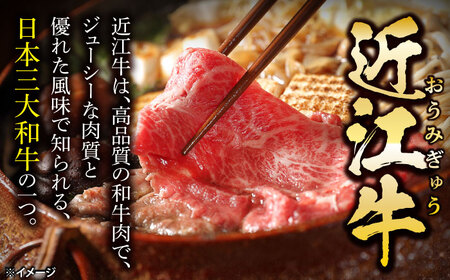 近江牛ロースセット800g 滋賀県長浜市/有限会社旭ミイト[AQDB030]