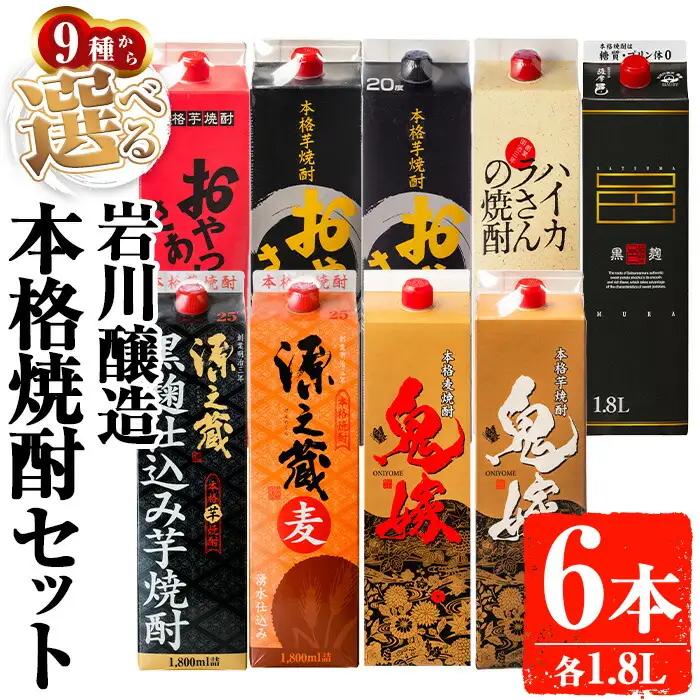 お好きな銘柄が選べる 紙パック 6本 セット(1800mL×6本) 焼酎 飲み比べ 【大隅家】 B187-v01