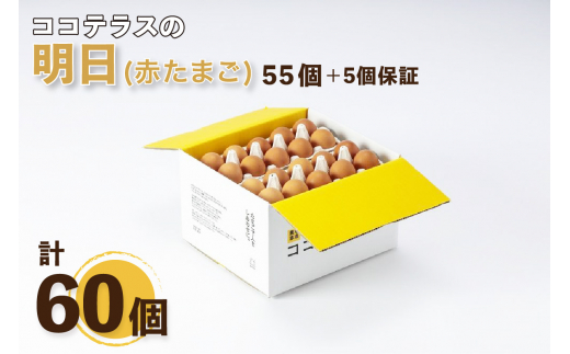 
ココテラスの明日（赤たまご）55個 + 5個保証（計60個）
