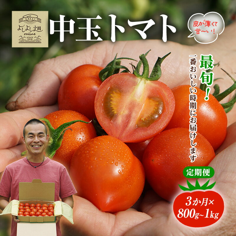 【ふるさと納税】【最旬お届け確約】3ヶ月連続 よしよし畑のあま～い トマト ( 中玉トマト ) 800g ～ 1kg 計約3kg 程度 新鮮 産地直送 とまと 頒布会 定期便 おいしい おすすめ ギフト お取り寄せ　お届け：2026年3月初旬～2026年5月中旬