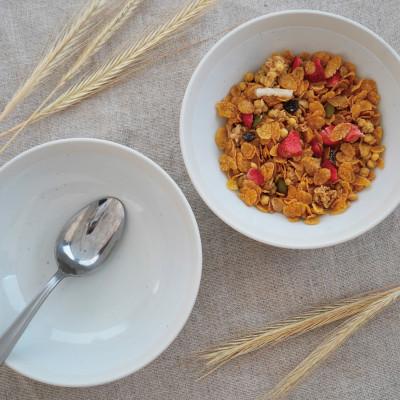 ふるさと納税 多治見市 【美濃焼】TLPリムバンド オートミル(ホワイト×2/ブラウン×2)4枚セット【軽量食器】 |  | 01