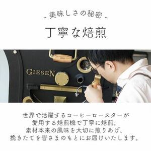 【毎月定期便】スペシャルティコーヒー豆　5種おまかせセット　豆のまま　辻本珈琲全6回【4053968】