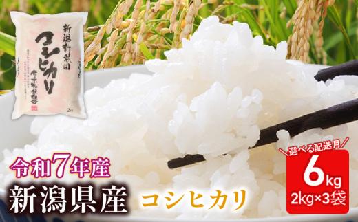 【2025年12月発送】米 コシヒカリ 特別栽培米 計6kg 2kg × 3袋 令和7年産 7年産 新米 新潟県産 お米 白米 ご飯 精米 玄米 おにぎり 弁当 個包装 小分け プレゼント ギフト 贈答 のし 新潟県 新発田市 sasakikoki004_202512