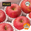 【ふるさと納税】【11月から発送】 りんご 盛岡から「農で人をつなぐ」藤与果樹園： サンふじ 約5kg 12～23玉 玉数指定不可 詰め合わせ 岩手 盛岡　お届け：2024年11月30日～2025年2月28日