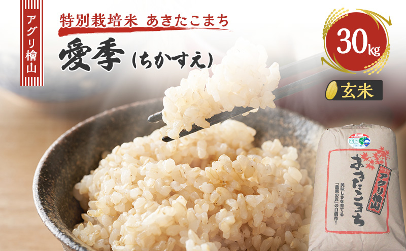 令和7年産 新米 アグリ檜山米 愛季(ちかすえ) 玄米 30kg  あきたこまち  お米 おこめ こめ コメ ごはん ご飯 大粒 令和7年  秋田 秋田県 能代市