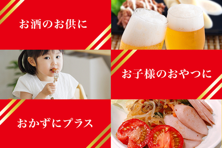 丸善詰め合わせC ソーセージ 3種 かまぼこ 6種 11-C