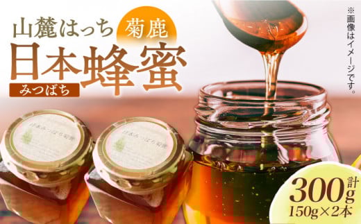 日本みつばち菊鹿・2本セット 【山麓はっち】 [ZBM005] 蜂蜜 はちみつ ハチミツ 熊本県 特産品 常温 保存 備蓄 防災食 非常食