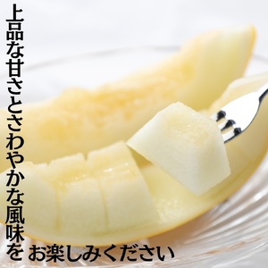 【2026年先行受付】メロン 5kg 4玉 － 6玉 クレオパトラ2 湯梨浜 | 19MS