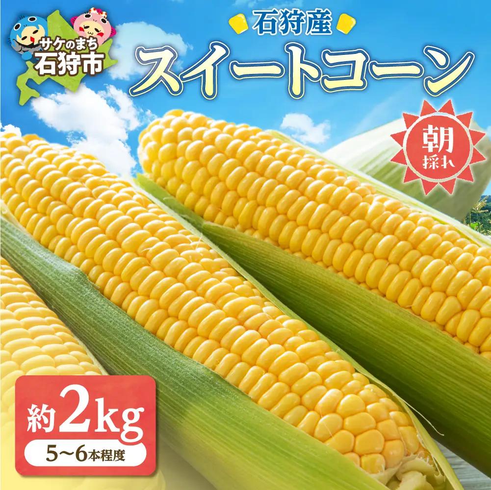 石狩産 スイートコーンとうもろこし（2.0kg以上 約5～6本）｜トウモロコシ とうきび 北海道 石狩市