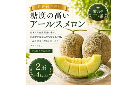 庄内砂丘 アールスメロン(温室メロン)　4kg以上(2玉入) つる付き SB0924