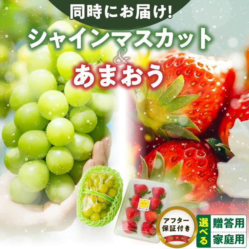 【ふるさと納税】【同時に届く】 シャインマスカット 1房 あまおう 1パック セット 選べる 家庭用 贈答用 新鮮 人気 詰め合わせ いちご ぶどう 果物 フルーツ 果実 食品 デザート グルメ お取り寄せ お取り寄せグルメ 2025年12月~2026年2月 詰合せ 福岡県 久留米市 送料無料