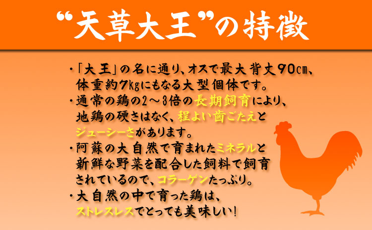 くまもと地鶏 天草大王 一羽まるごとセット 1.5kg もも肉 むね肉 ささみ 地鶏 肉 鶏肉 炭火焼 人気 希少 貴重 美味しい ヘルシー ジューシー コラーゲン 食べ比べ 熊本県 阿蘇市