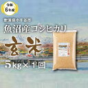 【ふるさと納税】令和6年産 魚沼産コシヒカリ 玄米 5kg 米 お米 おこめ ブランド米 こしひかり コシヒカリ 産地直送 お取り寄せ おいしい おすすめ 人気 米太 新潟 魚沼 小千谷市 KT12P347